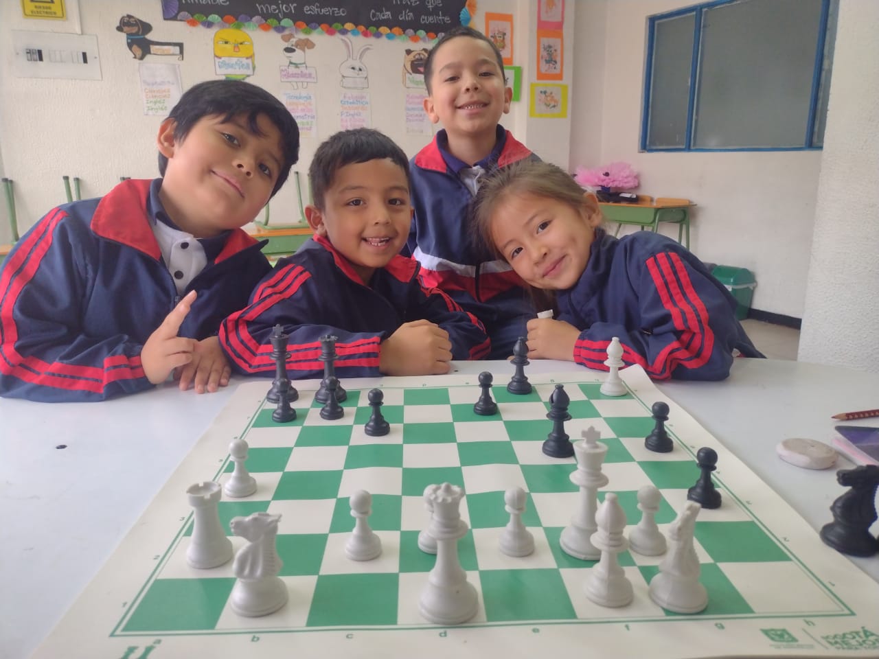 Imagen P.E.I